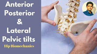 Pelvic Position Anterior Pelvic Tilt vs Posterior Pelvic Tilt [upl. by Nyladnarb]