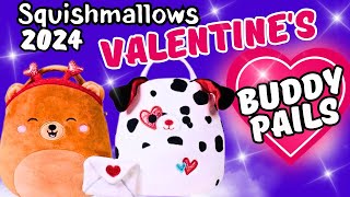 Squishmallow Valentines Buddy Buckets  Hunting For Valentines Day Squishmallows 2024 [upl. by Aremahs809]