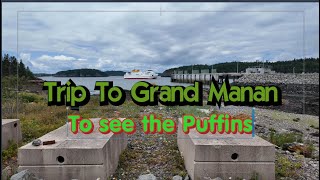 A trip to Grand Manan for Puffin watching [upl. by Ahtamat]