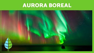 AURORA BOREAL 🌌 O que são e como se formam 🌎 [upl. by Ydur632]