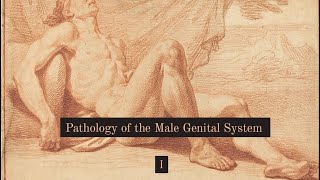 Pathology of the Male Genital System I [upl. by Jamieson722]