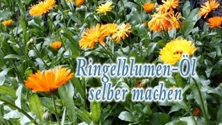 Ringelblumenöl Calendula officinalis selber machen [upl. by Eniluqaj185]