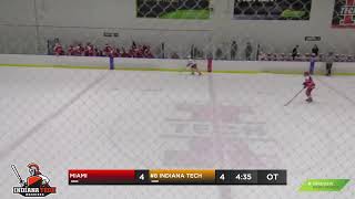 Miami at Indiana Tech  Womens Ice Hockey [upl. by Walter]