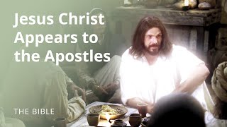 Luke 24  The Risen Lord Jesus Christ Appears to the Apostles  The Bible [upl. by Nevear449]