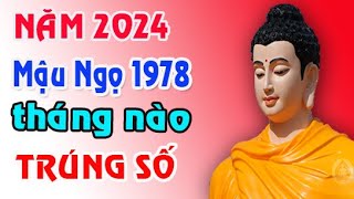 TIỀN VỀ tuổi Mậu Ngọ 1978 năm 2024 tiền về trong 3 tháng này [upl. by Ephrayim]