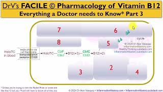 Clinical Pharmacology of Cobalamin pt3 pharmacology biochemistry vitaminb12 B12 diet brain [upl. by Panta]