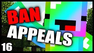 Minecraft Ban Appeals Episode 16  Minecraft Animation [upl. by Massingill]