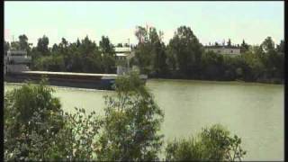 Biodiversidad en el estuario del Guadalquivir [upl. by Sirromal567]