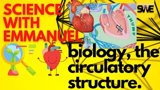 THE CIRCULATORY SYSTEM  GCSE IGCSE AND KCSE BIOLOGY  AQA EDEXCEL CIE OCR WJEC [upl. by Idette]