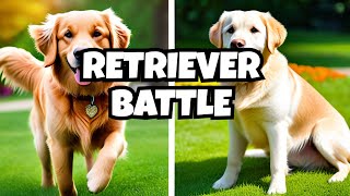 Golden Retriever vs Labrador Retriever labradorretriever goldenretriever dog [upl. by Kcirtemed868]