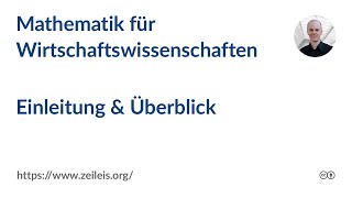 Mathematik für Wirtschaftswissenschaften Einführung amp Überblick [upl. by Ailuig6]