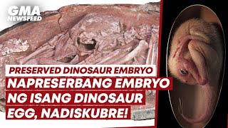 Preserved dinosaur embryo discovered  GMA News Feed [upl. by Petulia218]