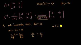 Invertible and noninvertibles matrices [upl. by Domash]