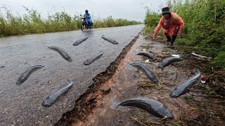 Amazing Fishing A lot of Catch fish on the road flooding skill best by hand a fisherman today [upl. by Andi]