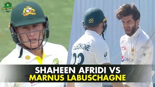 Shaheen Afridi vs Marnus Labuschagne  Pakistan vs Australia 2022  PCB [upl. by Edeline]