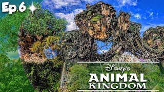 VLOG USA  LE PLUS BEAU LAND DU MONDE   Disneys Animal Kingdom 6 [upl. by Germann]