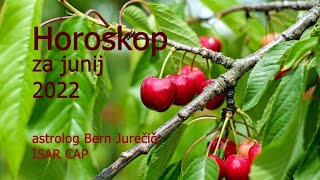 Horoskop junij 2022 [upl. by Gareri626]