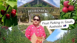 Vlog 5  Exploring South Australia  Fruit picking at Adelaide Hills🇦🇺 familyvlog fruit youtube [upl. by Waneta]