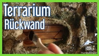 TERRARIUM Bau Teil 1 Rückwand aus Styropor Moosterrarium [upl. by Flo]