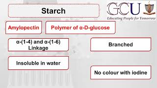 Biochem15  Starch  Structure of Amylose  Structure of Amylopectin  Sources and Digestion [upl. by Ahsinauq81]