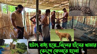 হটাৎ বাধ্য হয়েবিলের হাঁসের খামার ভেংগে ফেলতে হলো 🦆 [upl. by Nimajeb]