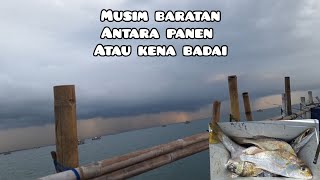 TIPS MANCING DISAAT MUSIM BARATAN  CARA MANCING IKAN GEGERIT BABON DI BAGAN  BAGAN TANJUNG KAIT [upl. by Handy]