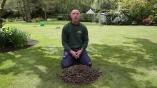 Hollow Tine Aeration  Why We Aerate Lawns [upl. by Urban]