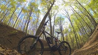 Extreme tuned Haibike xDuro PRO flott im Wald [upl. by Adiuqal]