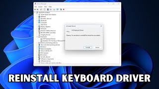 How To Reinstall Keyboard Driver In Windows 11 amp 10 [upl. by Aihtenyc]