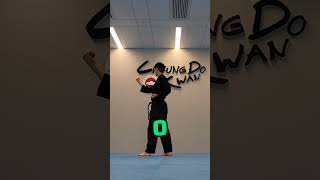 Taekwondo Poomsae 2 Tips for Competition hongkongtaekwondo [upl. by Tsepmet]