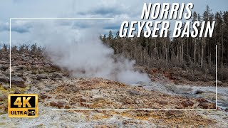 Norris Geyser Basin  Porcelain and Back Basin Trails  Yellowstone National Park [upl. by Adlev]