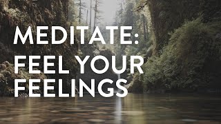 13Minute Guided Meditation  Feel Your Feelings [upl. by Mufi]