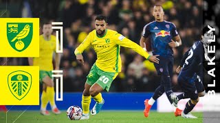 HIGHLIGHTS  Norwich City 11 Leeds United [upl. by Mccarthy]