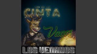 Los Venados [upl. by Iaria]