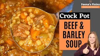 Crock Pot Beef and Barley Soup  Best Soup Ever and Super Simple [upl. by Wiatt]