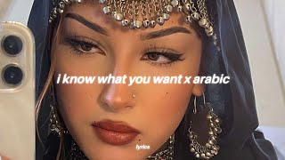 i know what you want x arabic ريمكس  شيرين  صبرى قليل tiktok song [upl. by Darcia317]