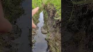 El quotManantialquot más Grande de la zona ixtlahuaca😱Los lugares más ocultos [upl. by Refotsirk]