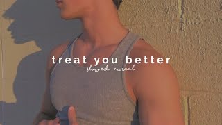 shawn mendes  treat you better slowed  reverb [upl. by Tewfik592]