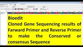 Bioedit How to merged the sequence of farward and reverse primers sequencing result of the gene [upl. by Omixam]