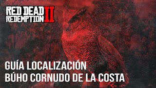 Red Dead Redemption 2  Guía Localización Búho Cornudo de la Costa [upl. by Limemann]