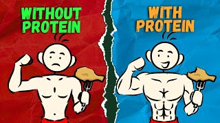 Do You Need Protein to Build Muscle Protein Intake for Muscle Building  Fitness Animated [upl. by Julienne]