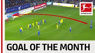 Robert Skov  November 2019s Goal of the Month Winner [upl. by Harwilll]