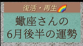 🦂蠍座さんの6月後半の運勢・復活・再生🌈【タロット・占い・星座】 [upl. by Kcired]