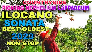 COUNTRYSIDE PICKING NEPHELIUM LAPPACEUMILOCANO SONATA BEST OLDEST 2023 NON STOPmrsmapalad [upl. by Deth69]