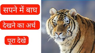 सपने में बाघ देखने से मिलते है ये 5 संकेत  sapne me bagh dekhna  Tiger dream meaning [upl. by Hendel]