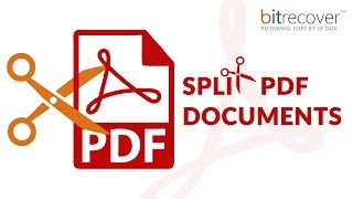 How to Split PDF Documents into Multiple Files using BitRecover PDF Split Wizard [upl. by Corrie203]