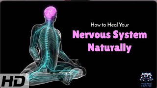 Natural Nervous System Healing Proven Techniques for Better Health [upl. by Fabrienne]