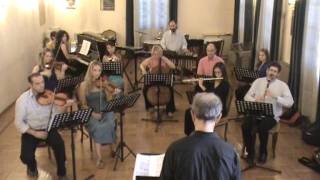 Saint Saens Carnaval des animaux Cygne  Pleiades Chamber Music Ensemble [upl. by Ettessil202]