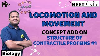 Locomotion amp Movement Class 11 Biology NEET  NCERT Chapter 17 Structure of Contractile Proteins 1 [upl. by Mireille148]