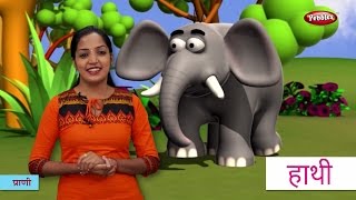 Animal Names in Hindi  हिंदी में प्राणियों के नाम सीखे  Hindi Animal Names For Children [upl. by Eikcor64]